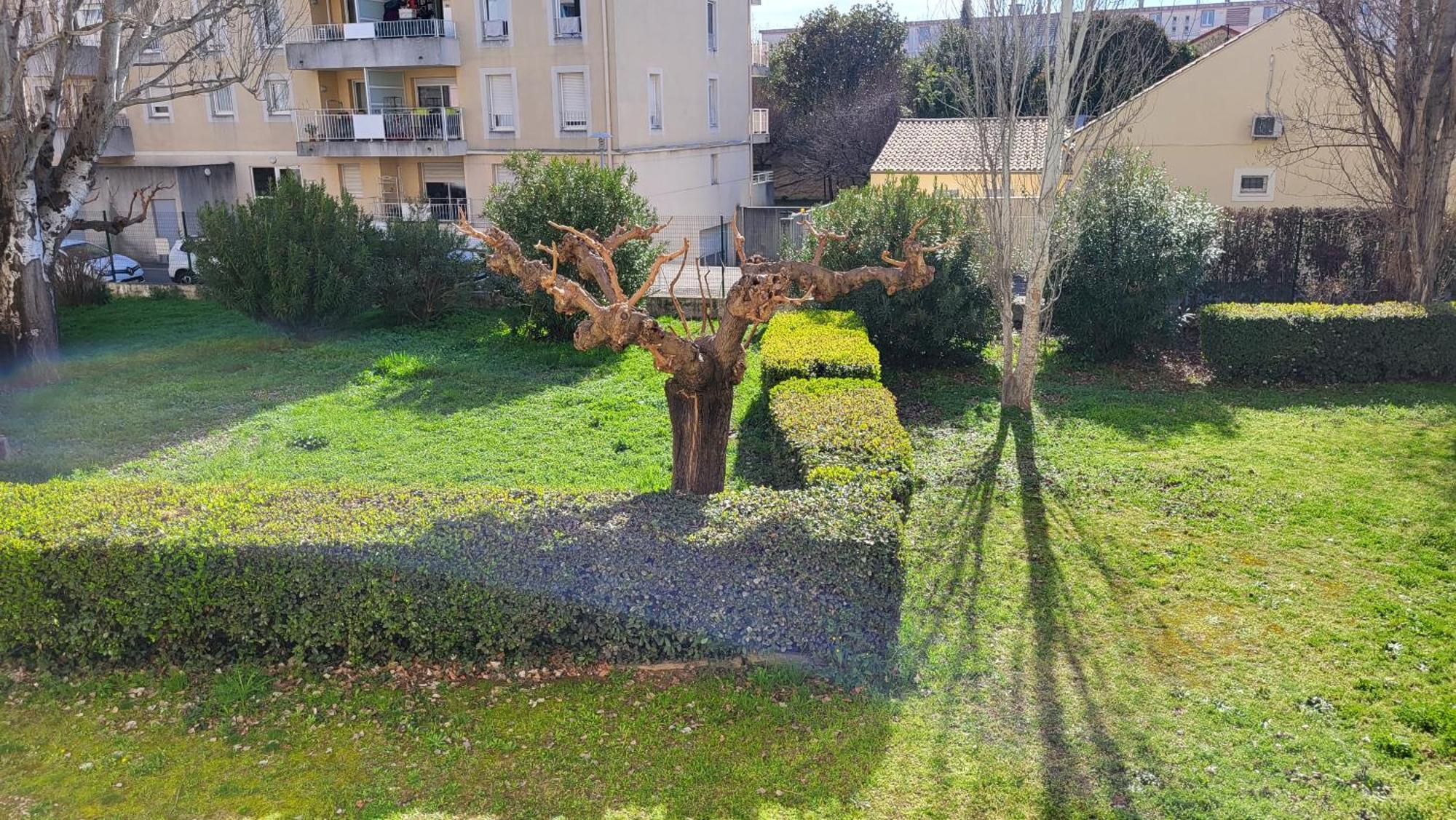 Apartamento Les Tourterelles D'Aviñón Exterior foto